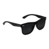 Glassy Sunhaters Leo Premium Sunglasses