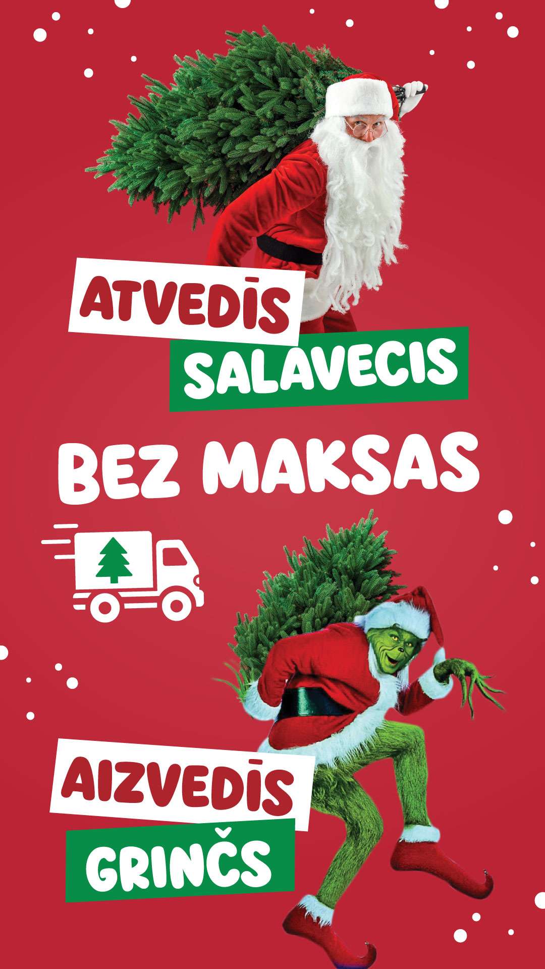 Nordmann Premium Eglīte 430cm | 430L4 - Ziemlaimīte